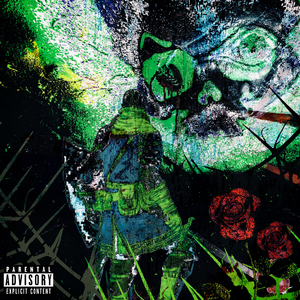 视频在线观看麻豆
